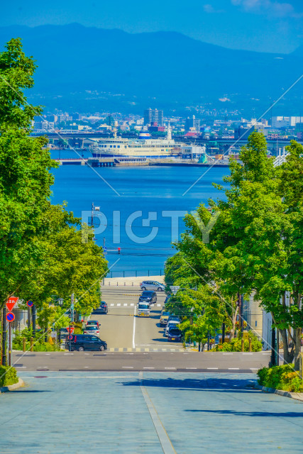 写真のタイトルが入ります