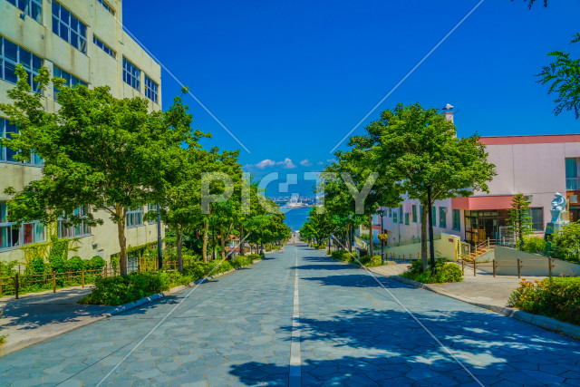 写真のタイトルが入ります