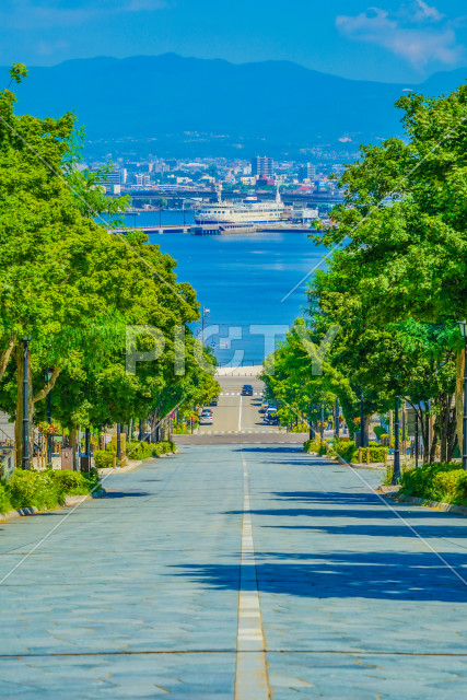 写真のタイトルが入ります