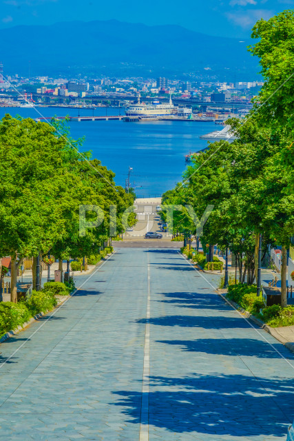 写真のタイトルが入ります