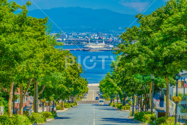 写真のタイトルが入ります