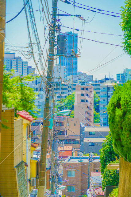写真のタイトルが入ります