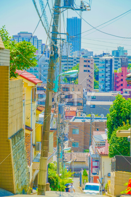 写真のタイトルが入ります