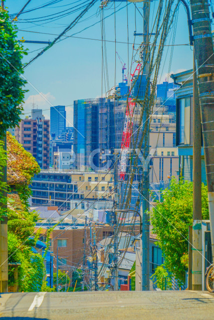 写真のタイトルが入ります