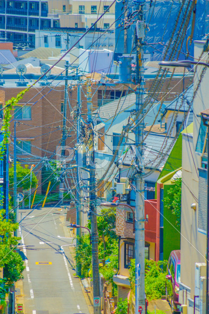 写真のタイトルが入ります