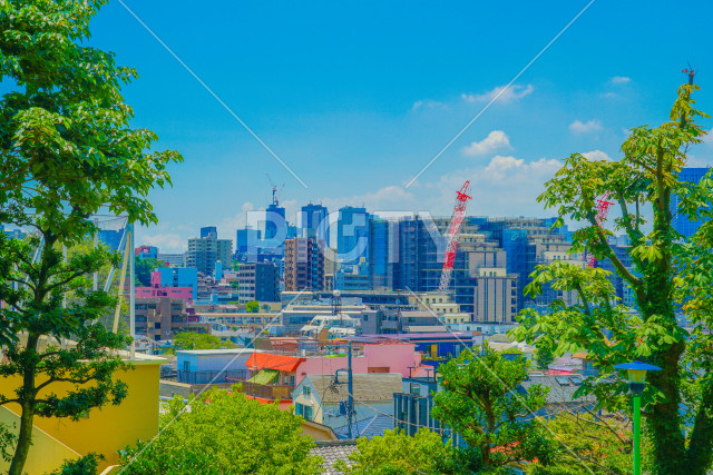 写真のタイトルが入ります
