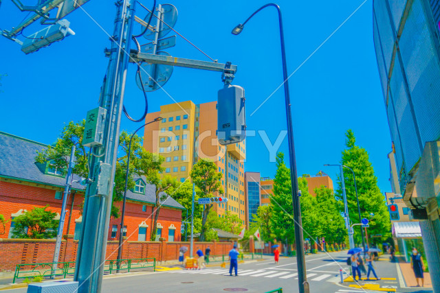 新宿区の街並みと快晴