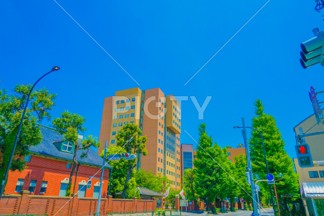 写真のタイトルが入ります