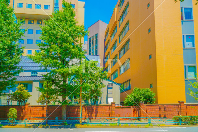 写真のタイトルが入ります