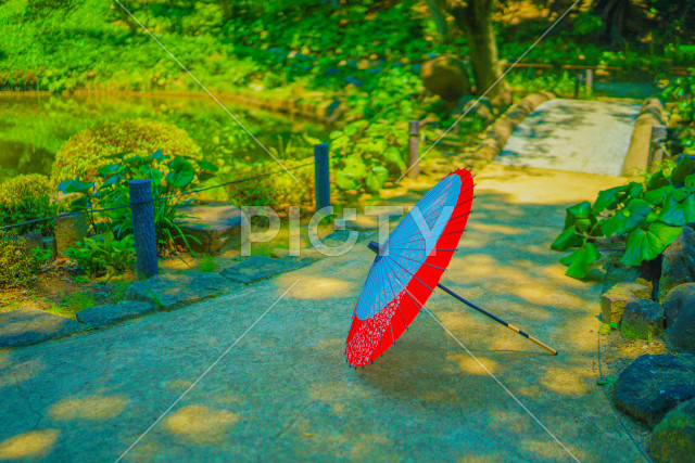 写真のタイトルが入ります