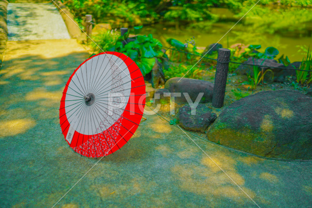 写真のタイトルが入ります