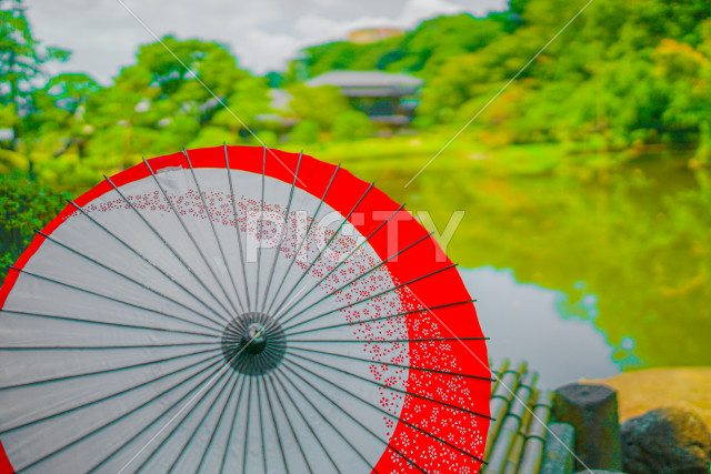 写真のタイトルが入ります