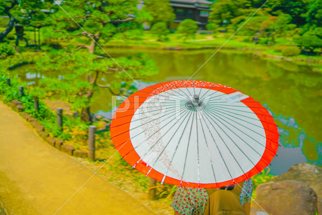 写真のタイトルが入ります
