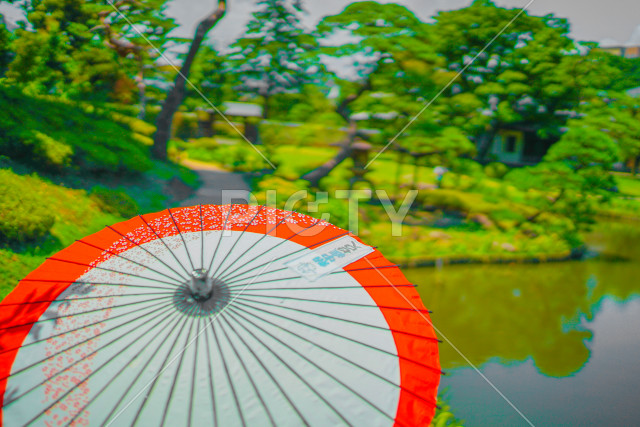 写真のタイトルが入ります
