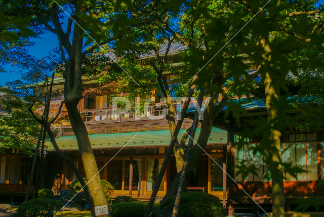 写真のタイトルが入ります