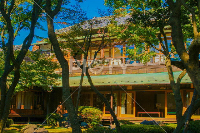 写真のタイトルが入ります