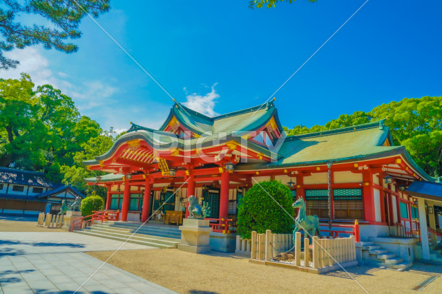 写真のタイトルが入ります