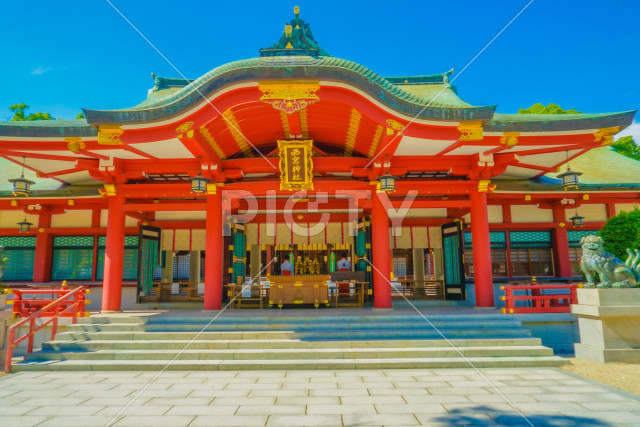 写真のタイトルが入ります
