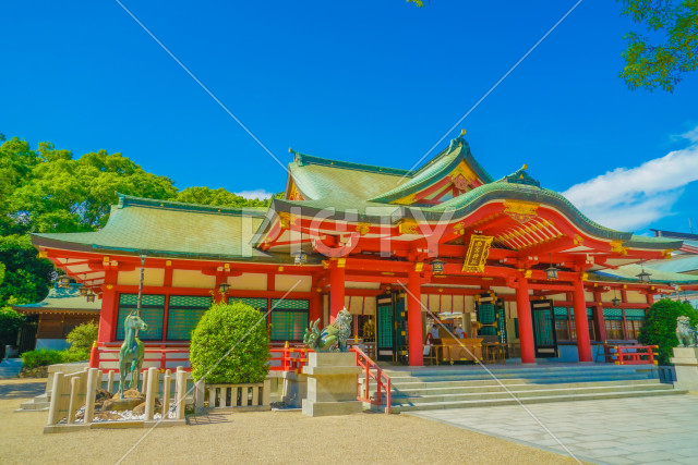 写真のタイトルが入ります