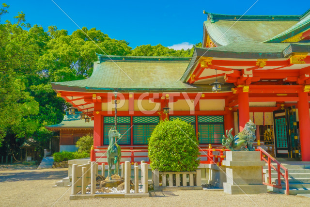 写真のタイトルが入ります