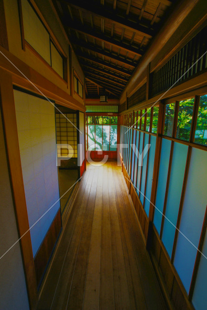 写真のタイトルが入ります