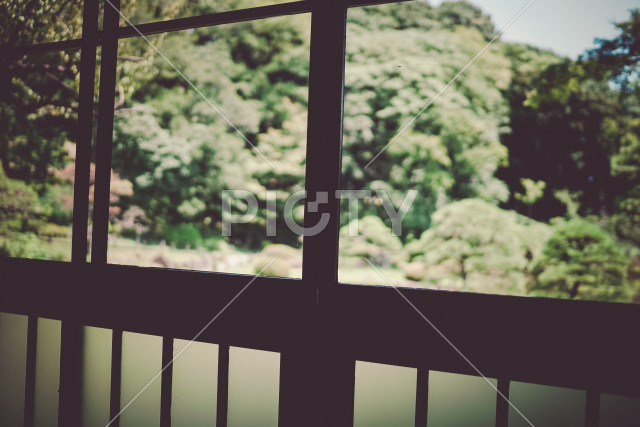 写真のタイトルが入ります