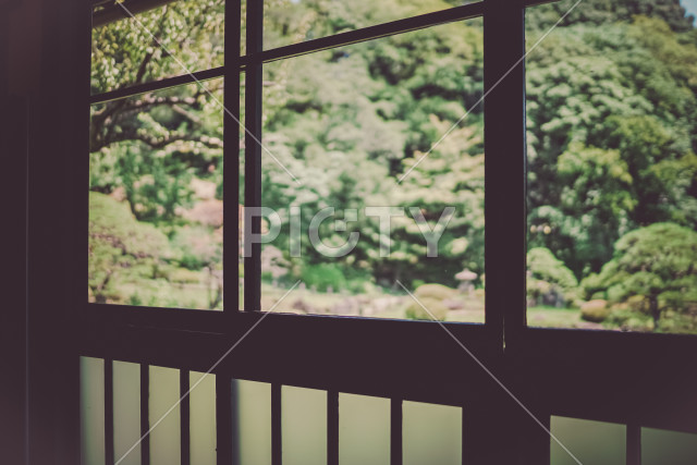 写真のタイトルが入ります