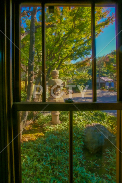 写真のタイトルが入ります
