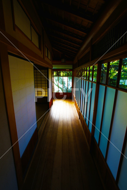 写真のタイトルが入ります