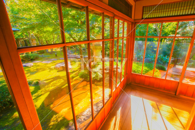 写真のタイトルが入ります
