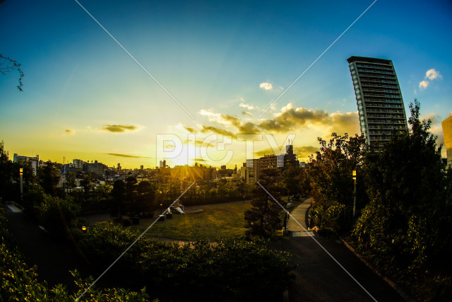 写真のタイトルが入ります