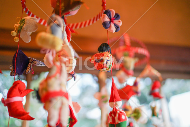 写真のタイトルが入ります
