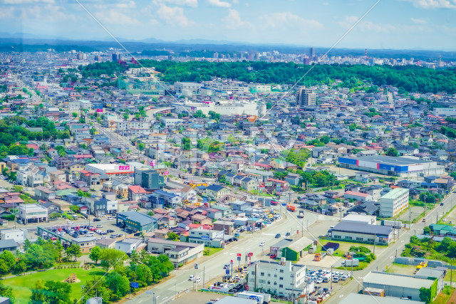 写真のタイトルが入ります