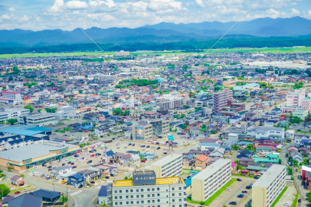 写真のタイトルが入ります