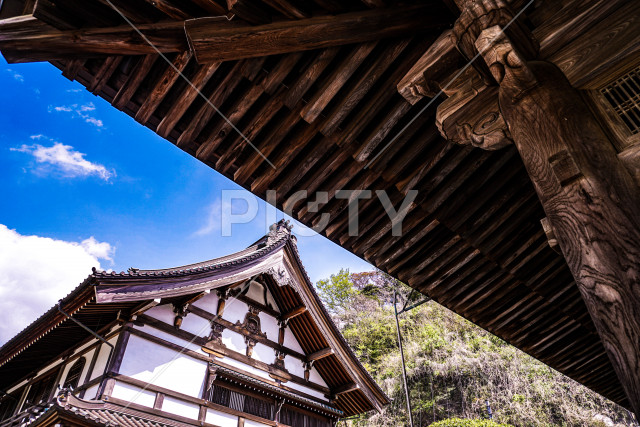 写真のタイトルが入ります