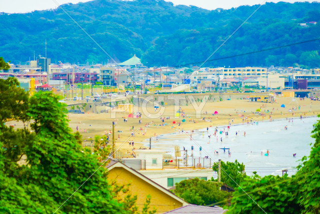 写真のタイトルが入ります