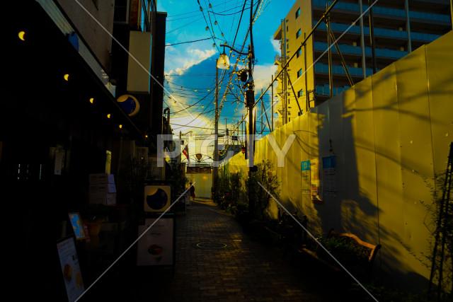 写真のタイトルが入ります