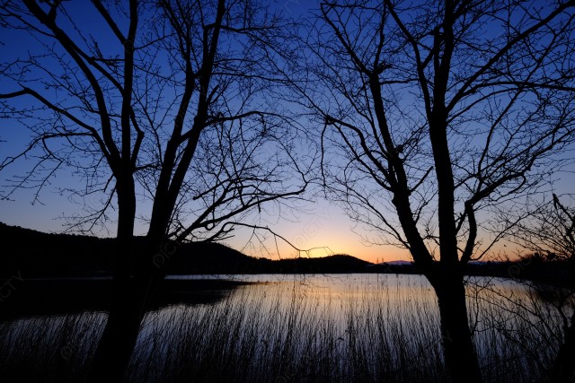 春の広沢の池の夜明け