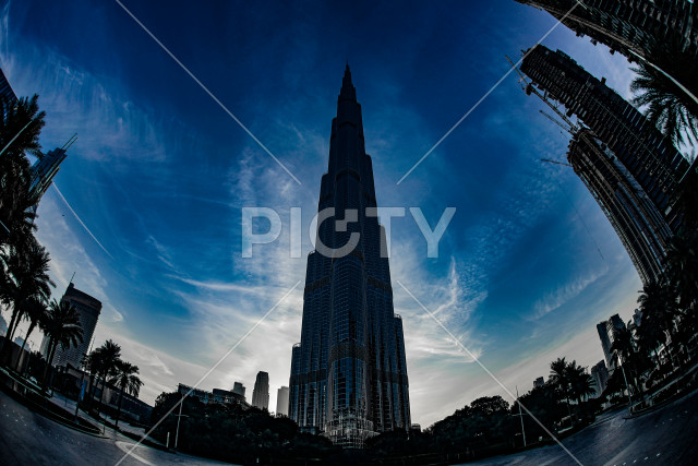 写真のタイトルが入ります