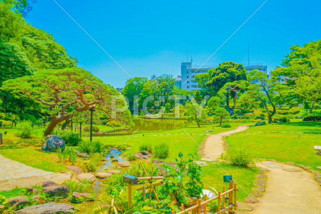 肥後細川庭園