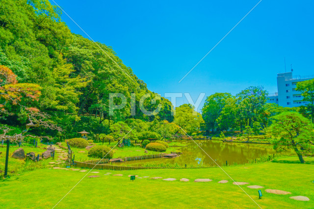 写真のタイトルが入ります