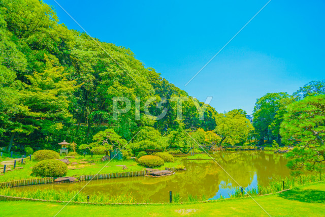 写真のタイトルが入ります