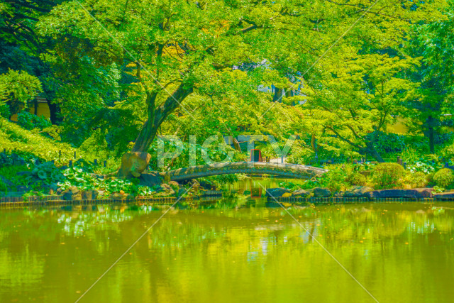 写真のタイトルが入ります