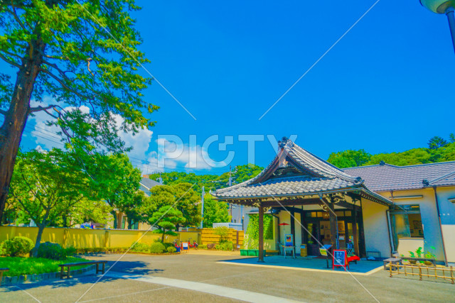 肥後細川庭園