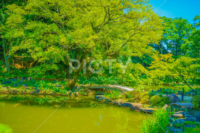 写真のタイトルが入ります