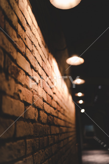 写真のタイトルが入ります