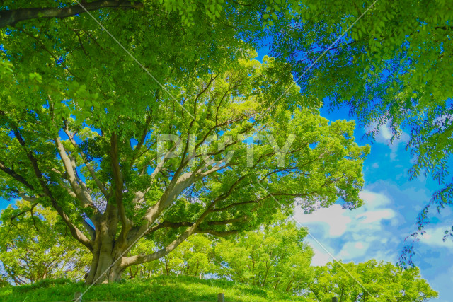 玉川野毛町公園