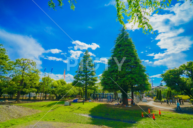 写真のタイトルが入ります