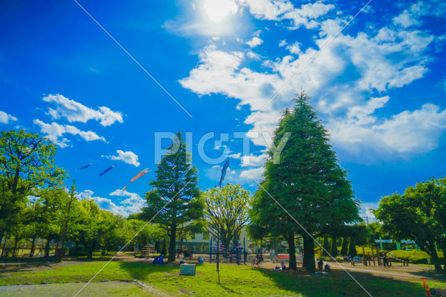 写真のタイトルが入ります