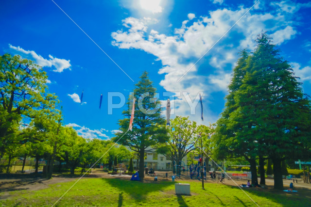 写真のタイトルが入ります